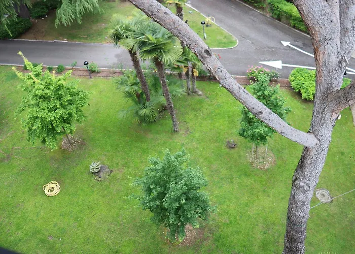 Monika Beautiful View Lovely *