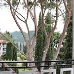 Monika Beautiful View *